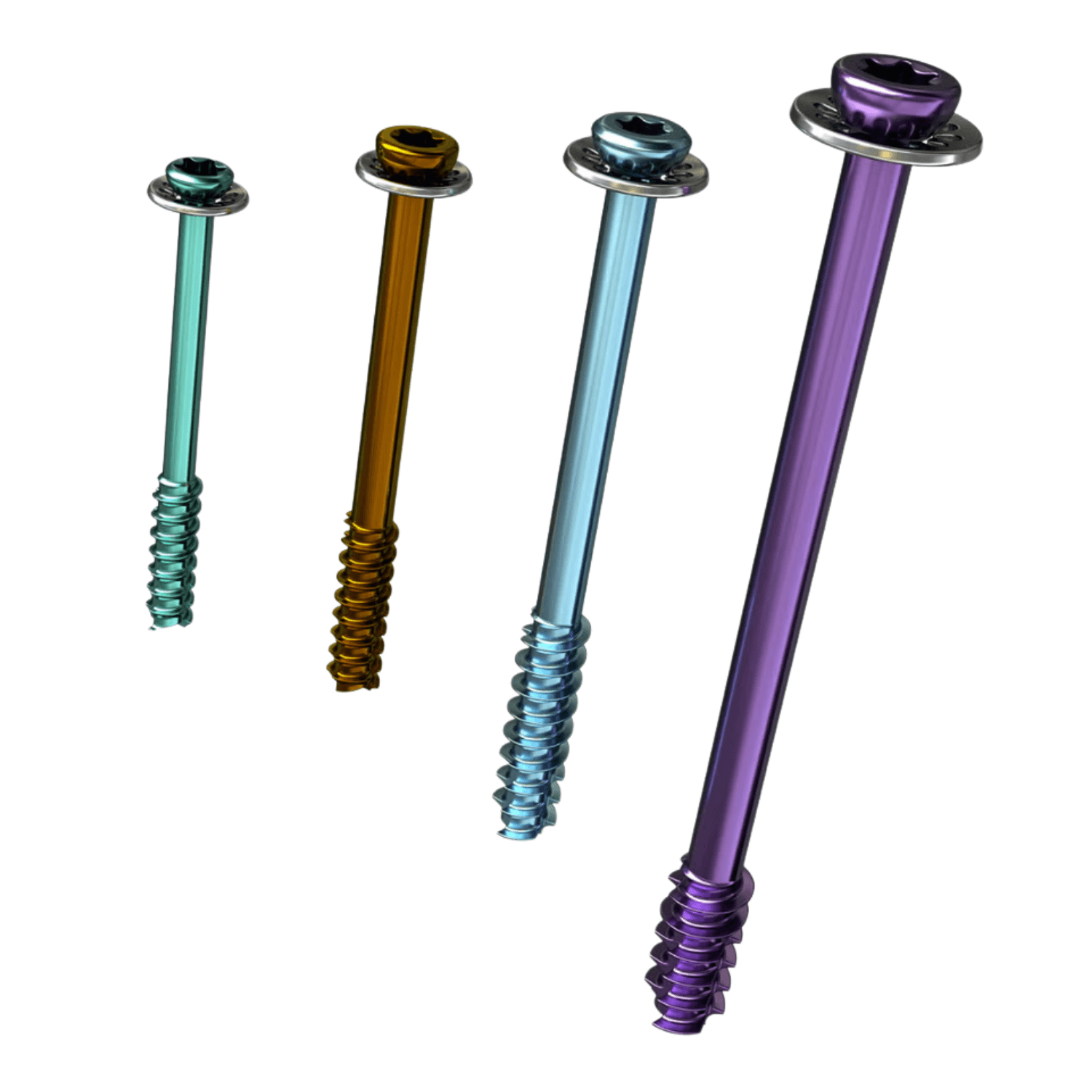 Image of Dynamic Disc 1